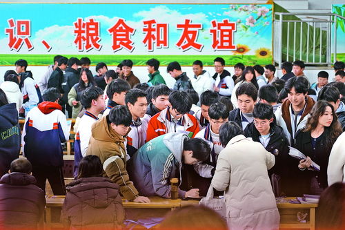 達(dá)州市2024年高職單招宣傳現(xiàn)場(chǎng)咨詢(xún)活動(dòng)圓滿(mǎn)舉行