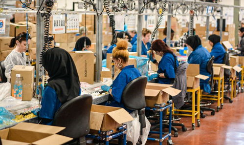 進(jìn)廠打工的大學(xué)生 每天站12個小時(shí) 4年存50萬