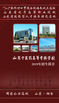 2019年普通?？普猩喺屡c職業(yè)中介活動(dòng)解析